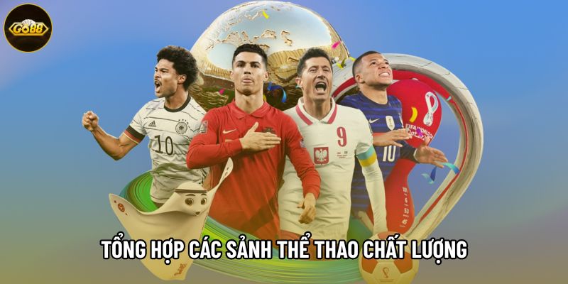 Tổng hợp các sảnh thể thao chất lượng